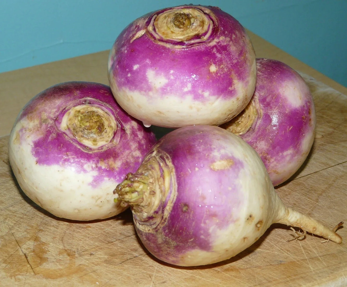 Rutabaga Seeds Bulk 500 Count - Brassica napus, Root Vegetable for Soups, Stews & Cooking, Easy to Grow, Hearty Root Crop