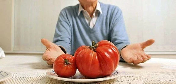Bulk 200 Behemoth Giant Tomato Seeds | Largest Fruit, Heavy Yielding Solanum lycopersicum, Indeterminate, Open-Pollinated