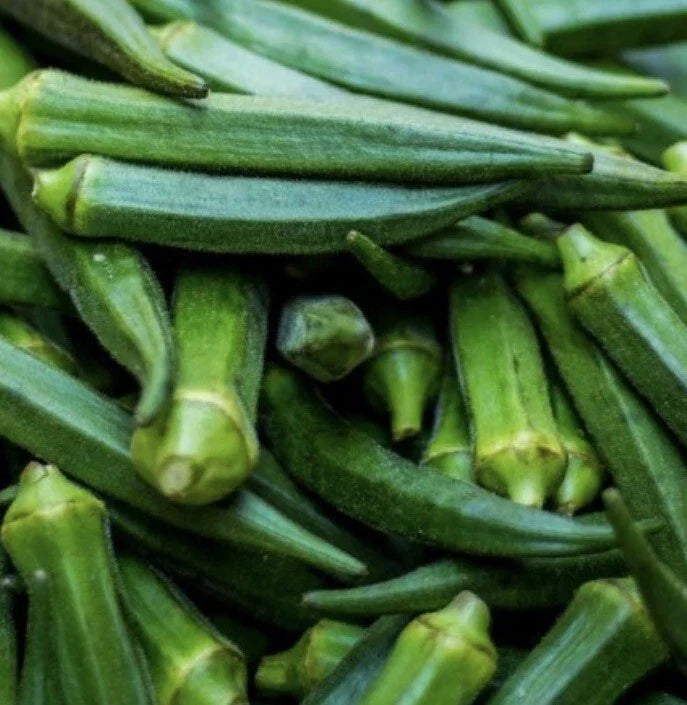Emerald Okra Seeds - Non-GMO Abelmoschus esculentus for Home Gardening, Bountiful Harvest, Easy to Grow, 100+ Seeds