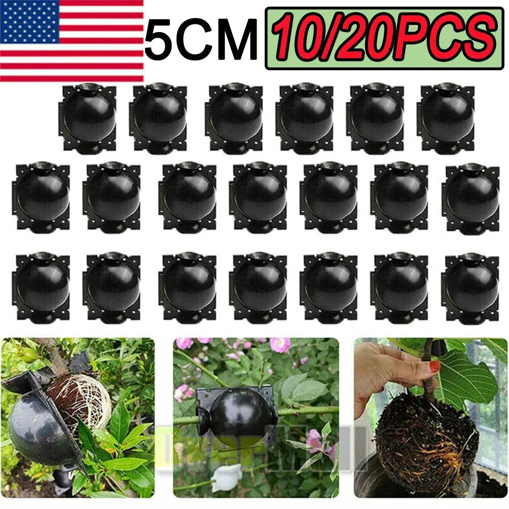 Plant Rooting Devices Set – 10/20X High Pressure Propagation Boxes for Grafting and Rooting Balls
