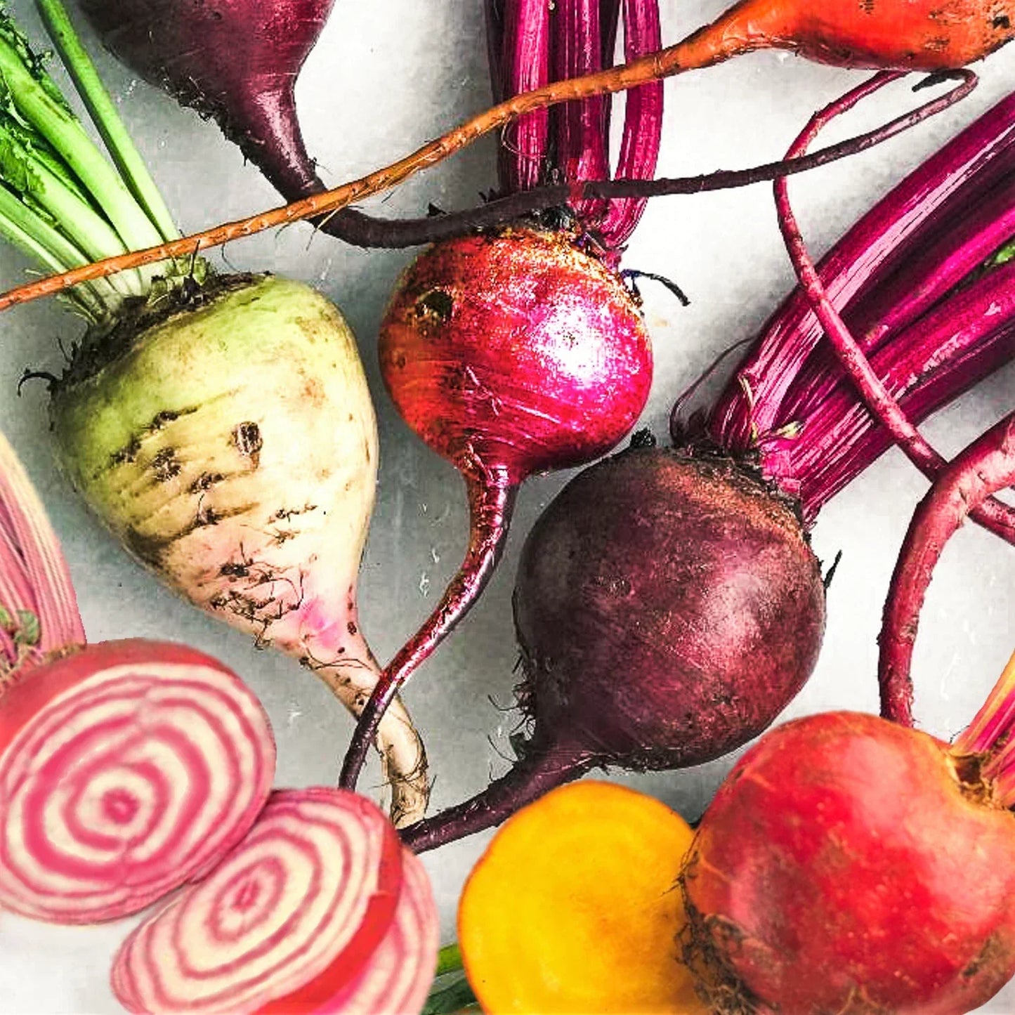 Rainbow Mix Beet Seeds - 5 Species Blend in Mixed Colors for Home Gardens and Containers - Beta vulgaris