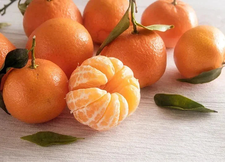 Clementine Orange Seeds - 5+ Pack for Gardening - Citrus reticulata - Fruit Tree Seeds for Home & Urban Gardens