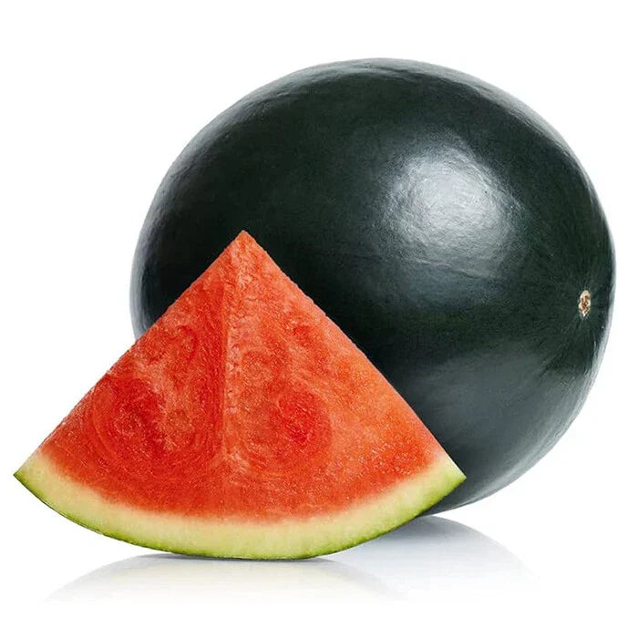 Black Diamond Watermelon Seeds | Heirloom Non-GMO Citrullus lanatus Seed Packet for Organic Gardening