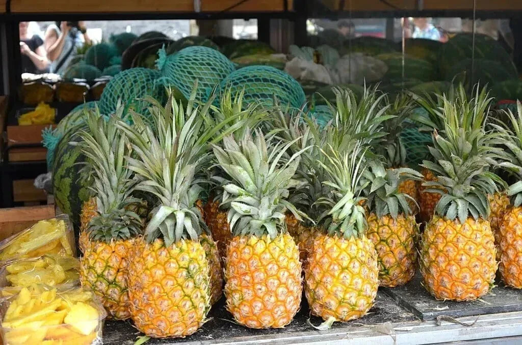 Cayena Lisa Pineapple Seeds - Pack of 15+ Ananas comosus Organic Garden Planting for Home & Container Gardening