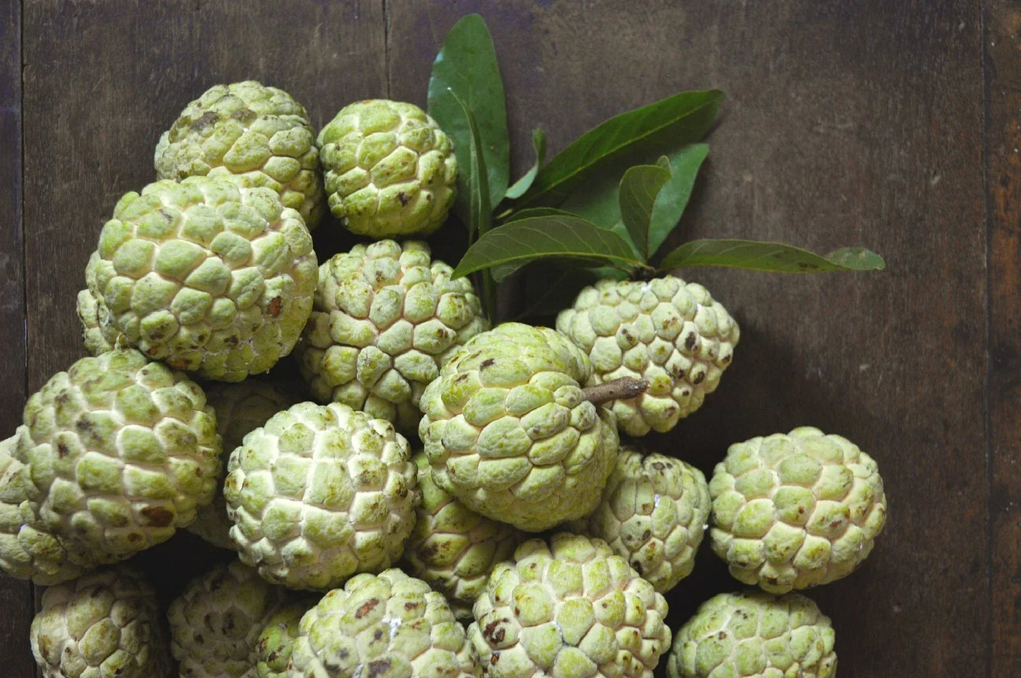 Custard Sugar Apple Tree Seeds - 10 Non-GMO Annona Squamosa Tropical Fruit Seeds for Home Garden and Orchard