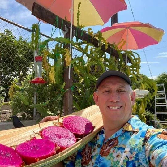 Self-Pollinated Dragon Fruit Plant – Pink Flesh Variety – Hylocereus undatus – Easy-to-Grow Cactus for Garden or Indoor Cultivation
