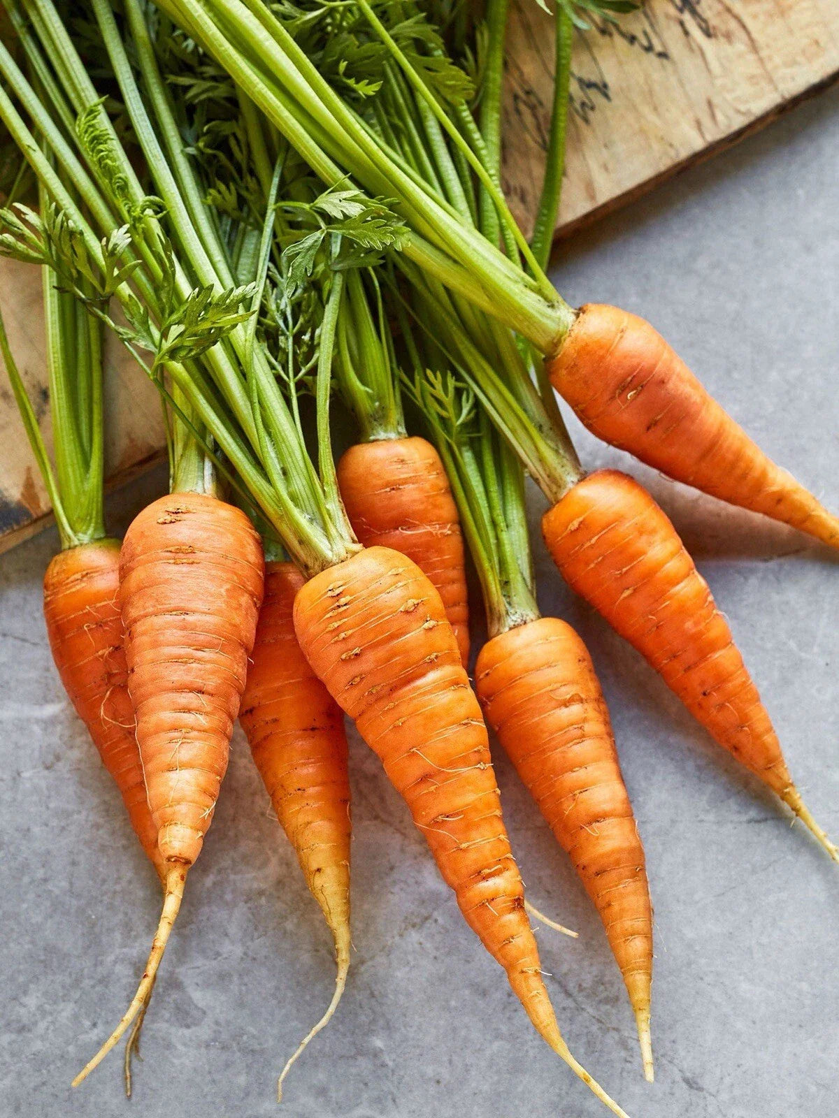 Danvers 126 Carrot Seeds Seed Packet | Non-GMO Heirloom Daucus carota | Sweet, Crisp, High Yield Vegetable Seeds