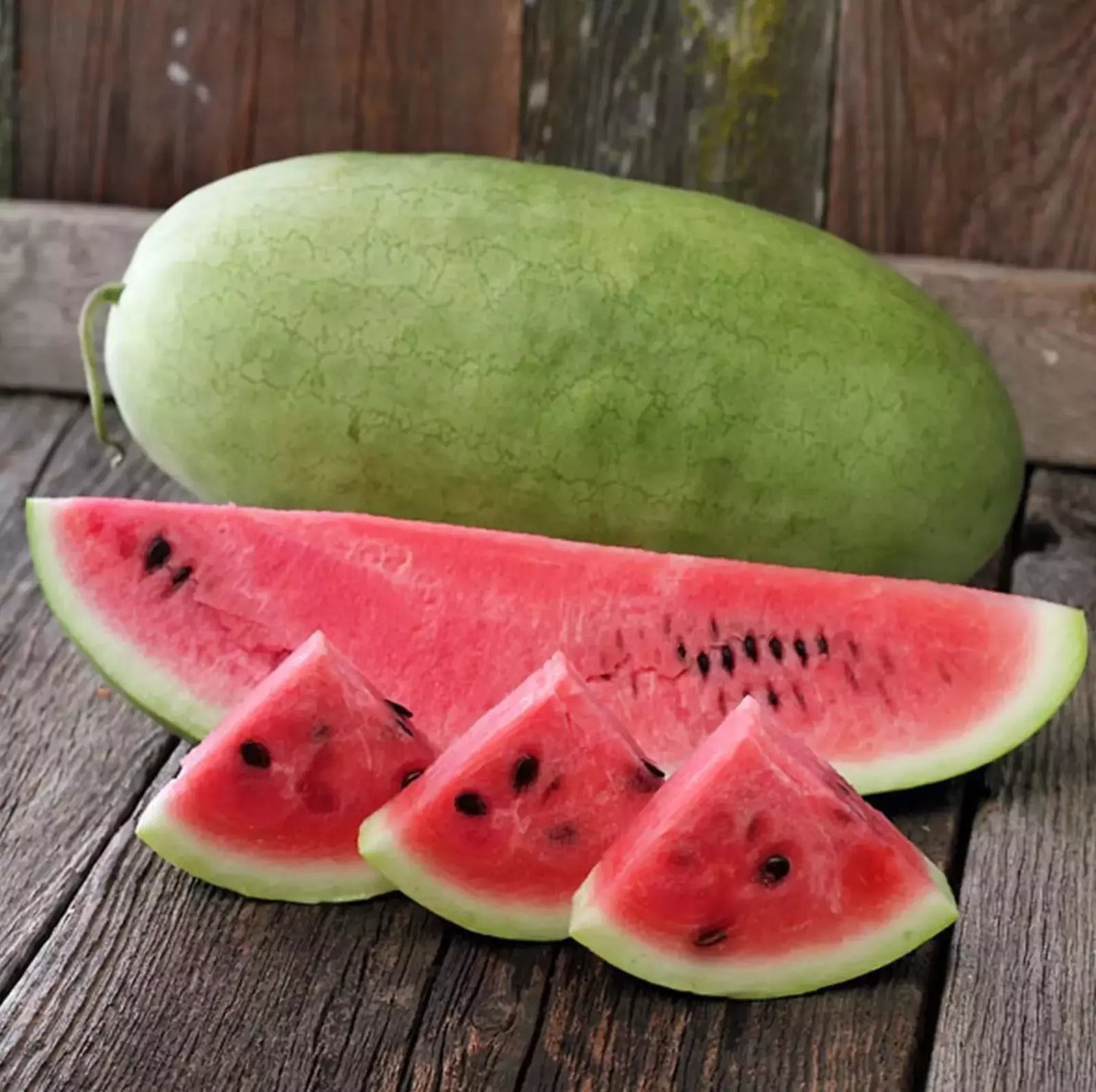 Charleston Grey Watermelon Seeds - Organic Non-GMO Heirloom Pack of 10+ Citrullus lanatus for Home Garden, Large Juicy Fruits