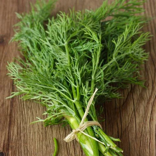 Bouquet Dill Seeds 4000 Count Non-GMO Heirloom Anethum graveolens for Cooking & Gardens - USA Seller