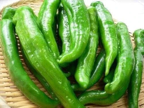 Sweet Manganji Pepper Seeds - 25 Premium Capsicum annuum for Home Gardening, Fresh, Juicy, Non-GMO Seed Packet