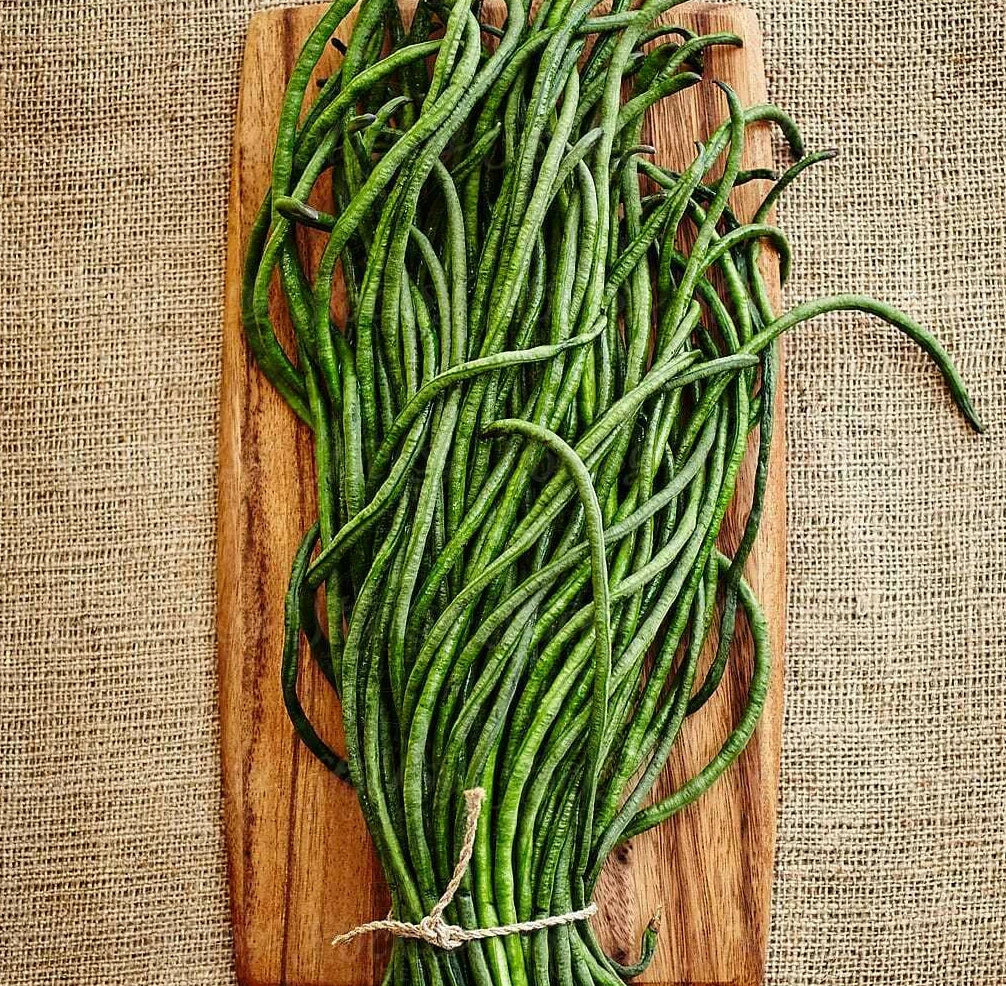 Yard Long Bean Seeds | Asian Asparagus Green Beans | Vigna unguiculata subsp. sesquipedalis | Pack of 50 Seeds
