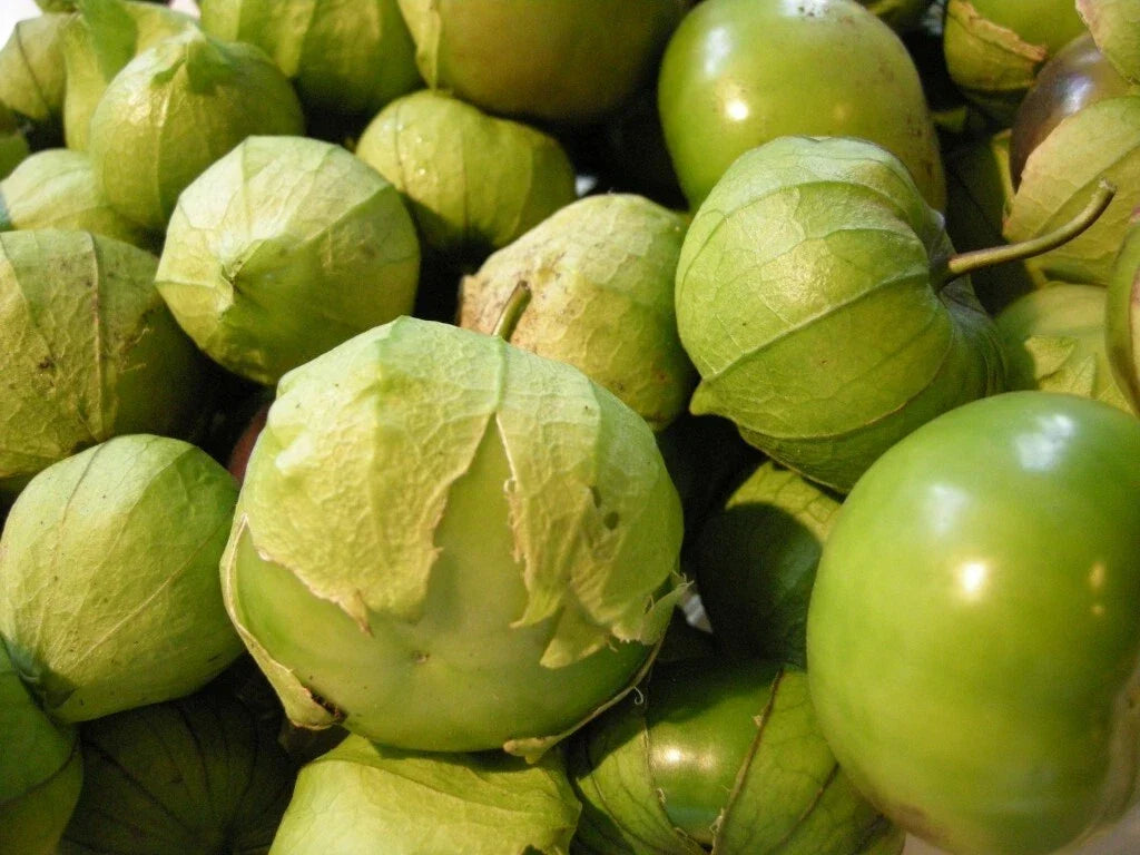 Tomatillo Verde Seeds - Heirloom Culinary Green Husk for Fresh Salsa - Physalis philadelphica, Non-GMO, Easy to Grow