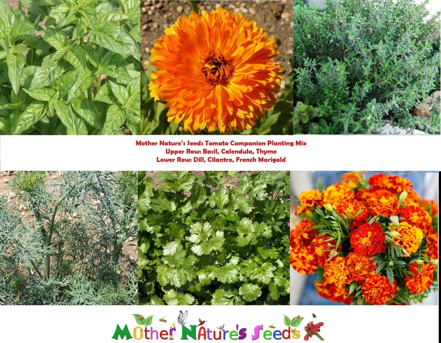 Tomato Companion Plant Seeds Mix – 500+ Non-GMO Seeds for Vegetables, Herbs & Marigold – Supports Healthy Growth & Pest Control
