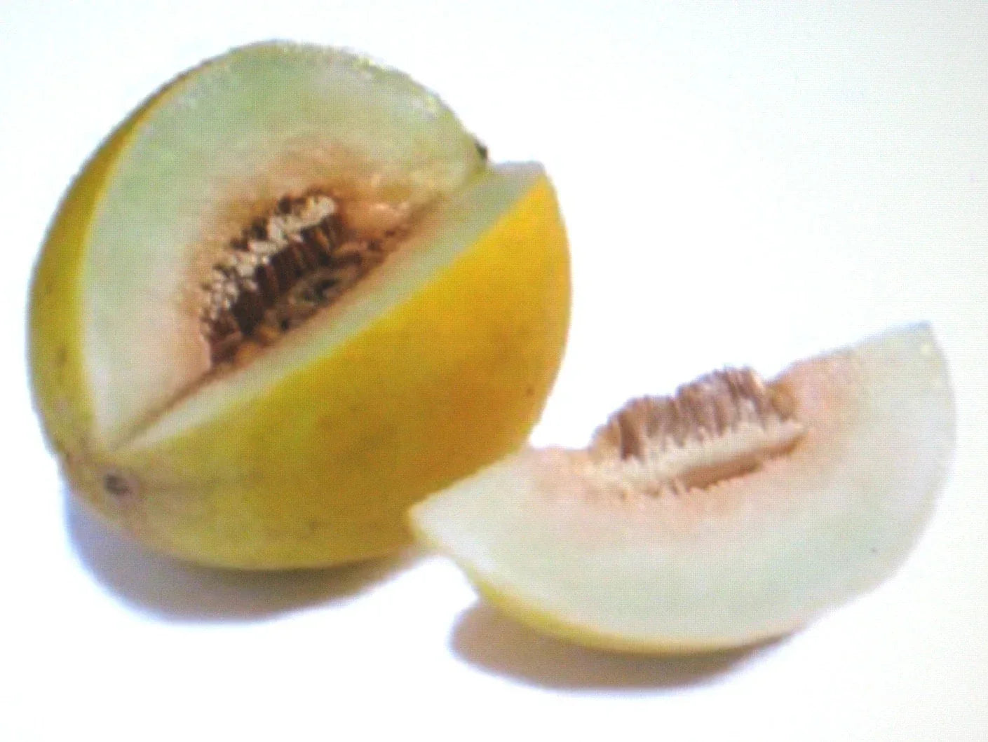 Canary Yellow Melon Seeds - 25 Non-GMO Cucumis melo for Home Garden, Vining, Sweet & Juicy Fruit