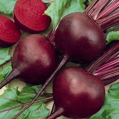 Detroit Dark Red Beet Seeds - Organic Non-GMO Open Pollinated Beta vulgaris, 150+ Seeds for Home Garden, Rich Flavor