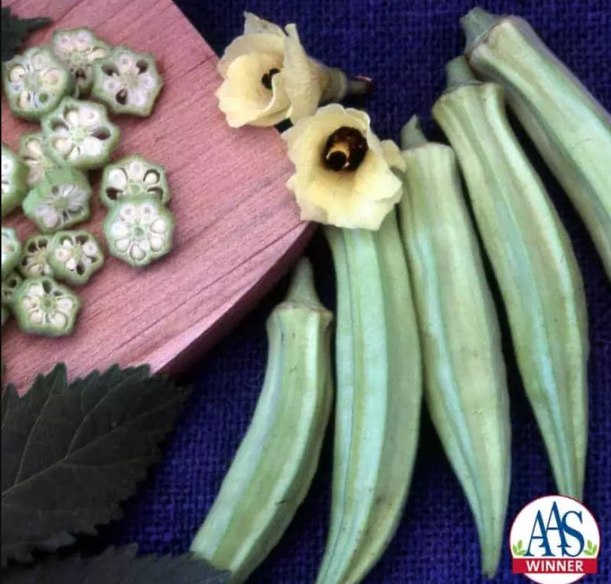 Dwarf Okra Seeds BLONDY AAS Winner Edible Flowers & Pods Abelmoschus esculentus – 60 Seeds