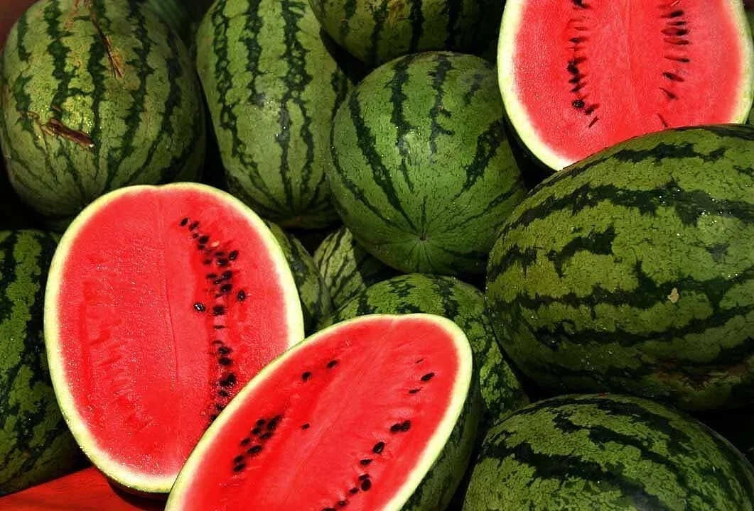 Kleckley's Sweet Watermelon Seeds - 100+ Heirloom Seeds - Citrullus lanatus - Large & Super Sweet Watermelons for Home Gardens