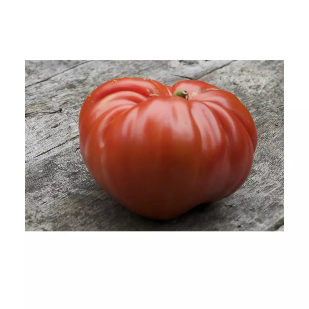 German Johnson Giant Tomato Seeds | Non-GMO Heirloom, Organic, Solanum lycopersicum, Seed Packet