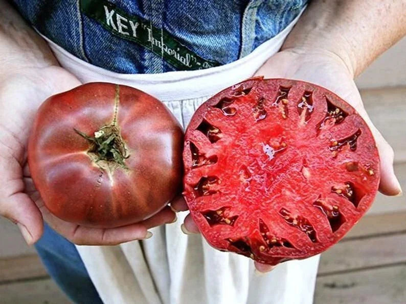 Cherokee Purple Tomato Seeds - Heirloom Organic Non-GMO Solanum lycopersicum - 10+ Seeds for Home Garden & Container Planting