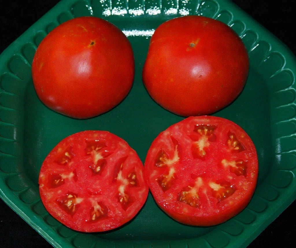 Celebrity Hybrid Tomato Seeds - Compact, High-Yield Solanum lycopersicum, 15 Seeds for Container Gardening and Small Spaces