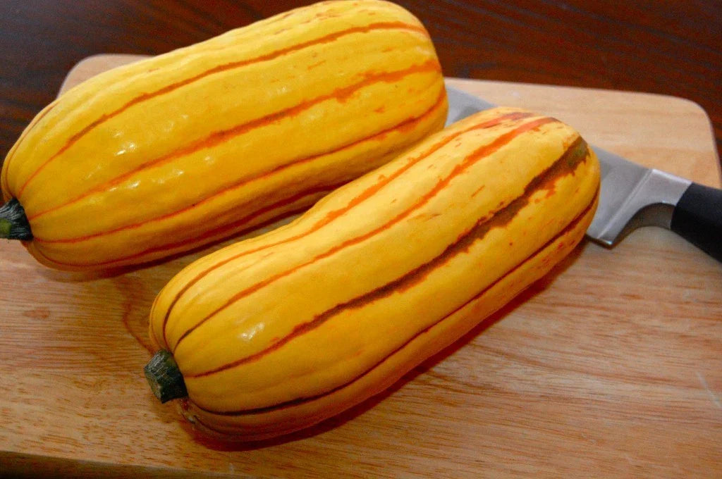 Delicata Winter Squash Seeds – Heirloom, Non-GMO, Organic Cucurbita pepo for Fall Harvest, Roasting, Soup & Salad Gardening