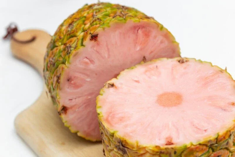 Pinkglow Pineapple Seeds - 15+ Pack, Ananas comosus, Tropical Fruit, Garden Planting, Non-GMO, USA Grown