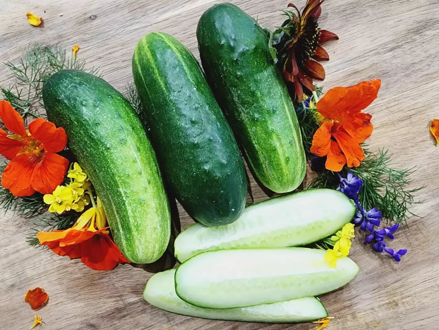 Wisconsin SMR-58 Cucumber Seeds - Heirloom Organic Non-GMO for Pickling & Salad - Cucumis sativus, 100+ Seeds