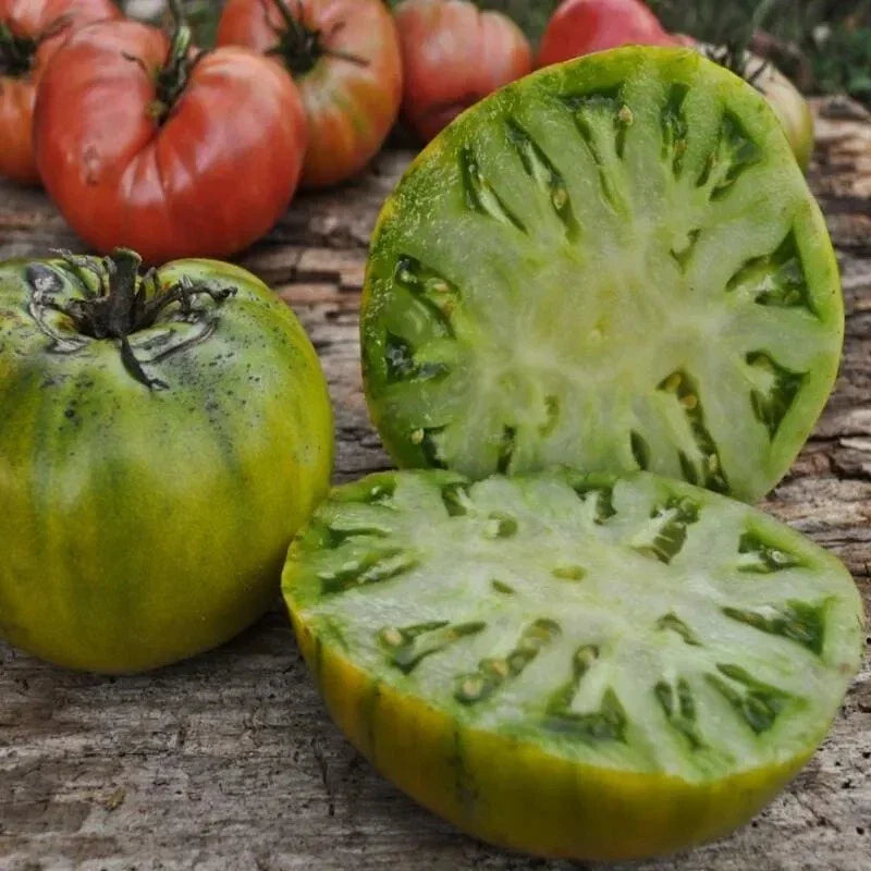 Cherokee Green Tomato Seeds - Heirloom Non-GMO Solanum lycopersicum - 10+ Seeds for Home Gardening & Containers