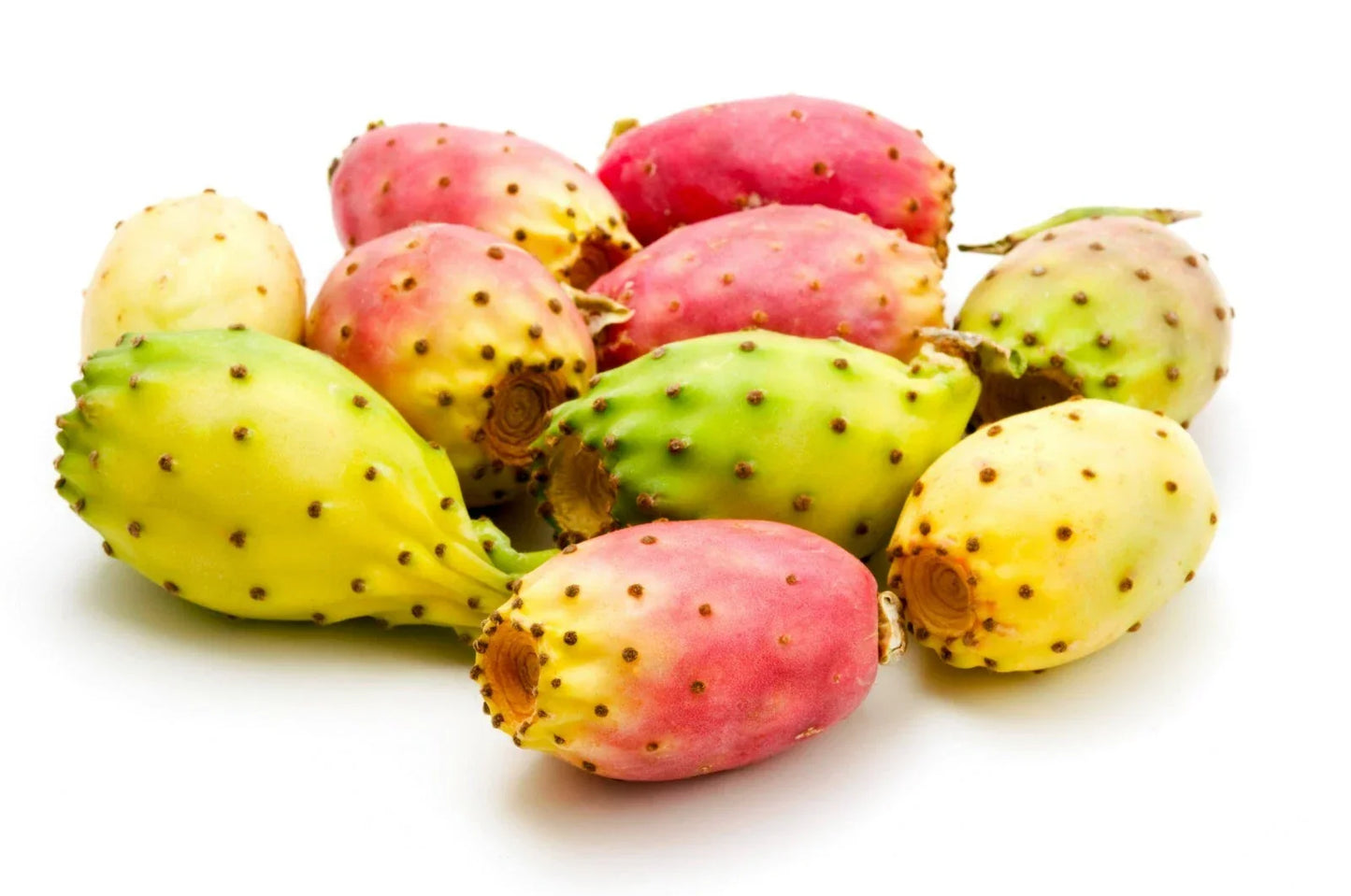 Cactus Pear Seeds 10 Pack Opuntia ficus-indica Edible Fruit Drought-Resistant Perennial Plant