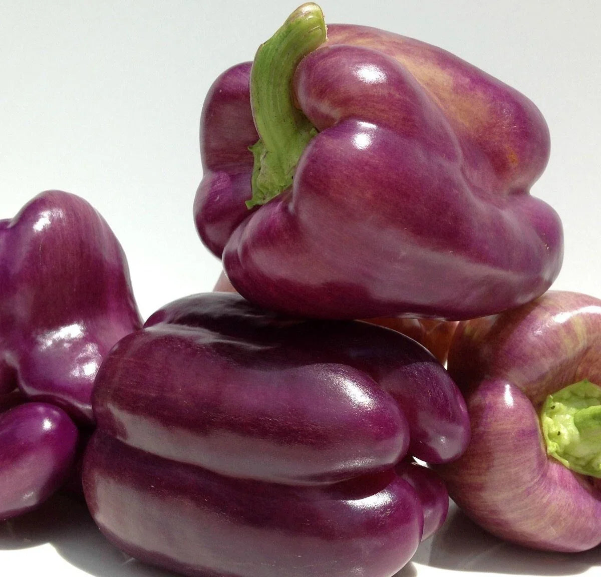 Sweet Lilac Bell Pepper Seeds - Non-GMO Heirloom Capsicum annuum for Garden Planting - 30 Seeds