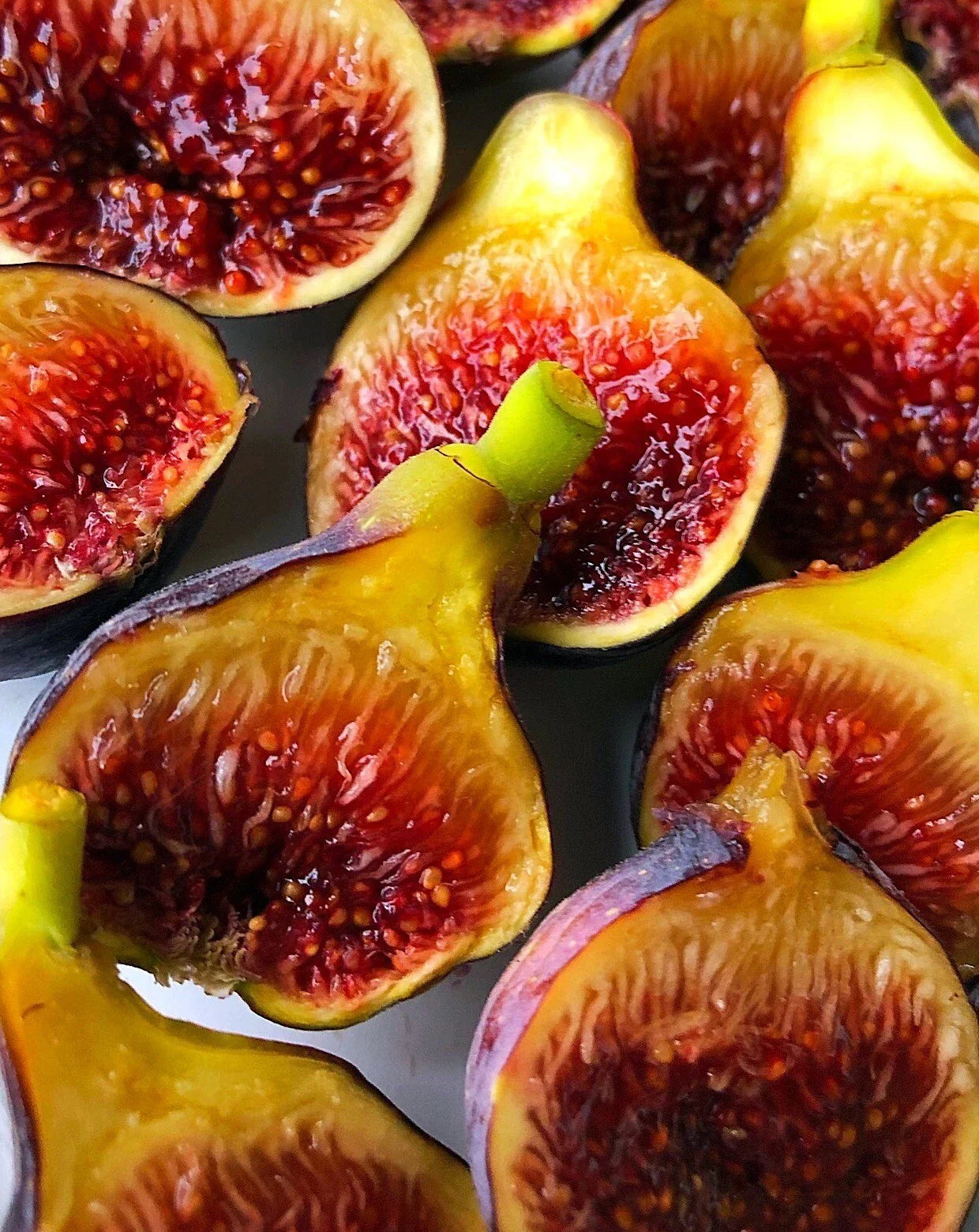 Fignomenal Fig Plant – Edible Ficus carica for Home Gardens – Sweet Fruit Tree for Outdoor Growing