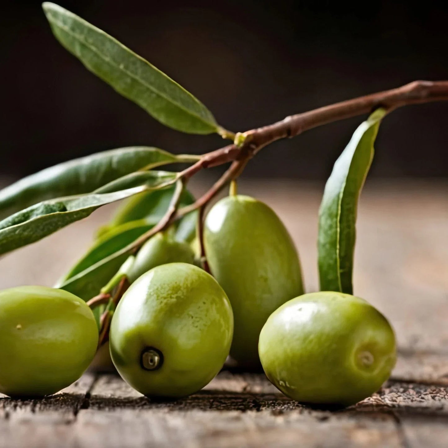 Picual Olive Seeds - 10+ for Garden Planting - Olea europaea - Mediterranean Climate Suitable