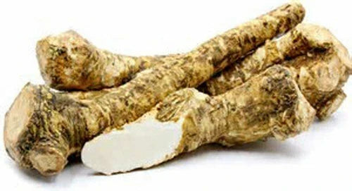 Fresh Horseradish Root 4 oz – Whole for Eating & Planting – Armoracia rusticana – Locally Sourced Illinois