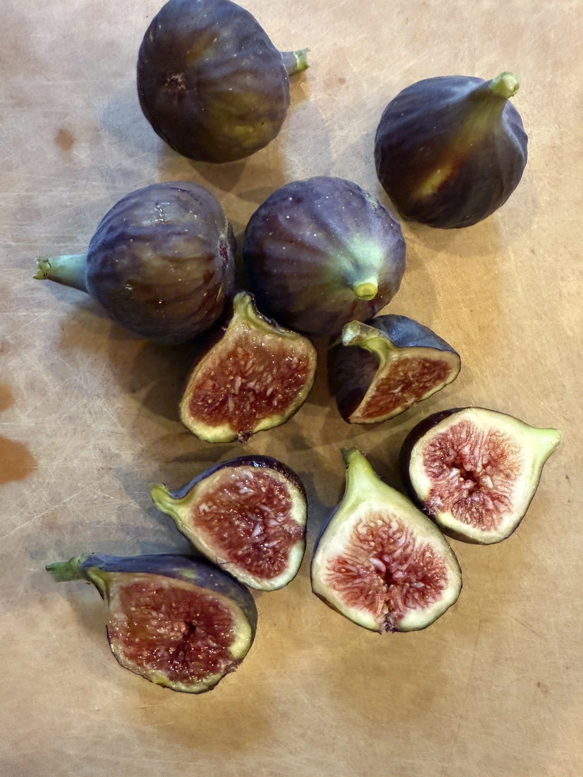 Chicago Hardy Fig Tree Cuttings – Ficus carica ‘Chicago Hardy’ Unrooted Grafting & Rooting Plant