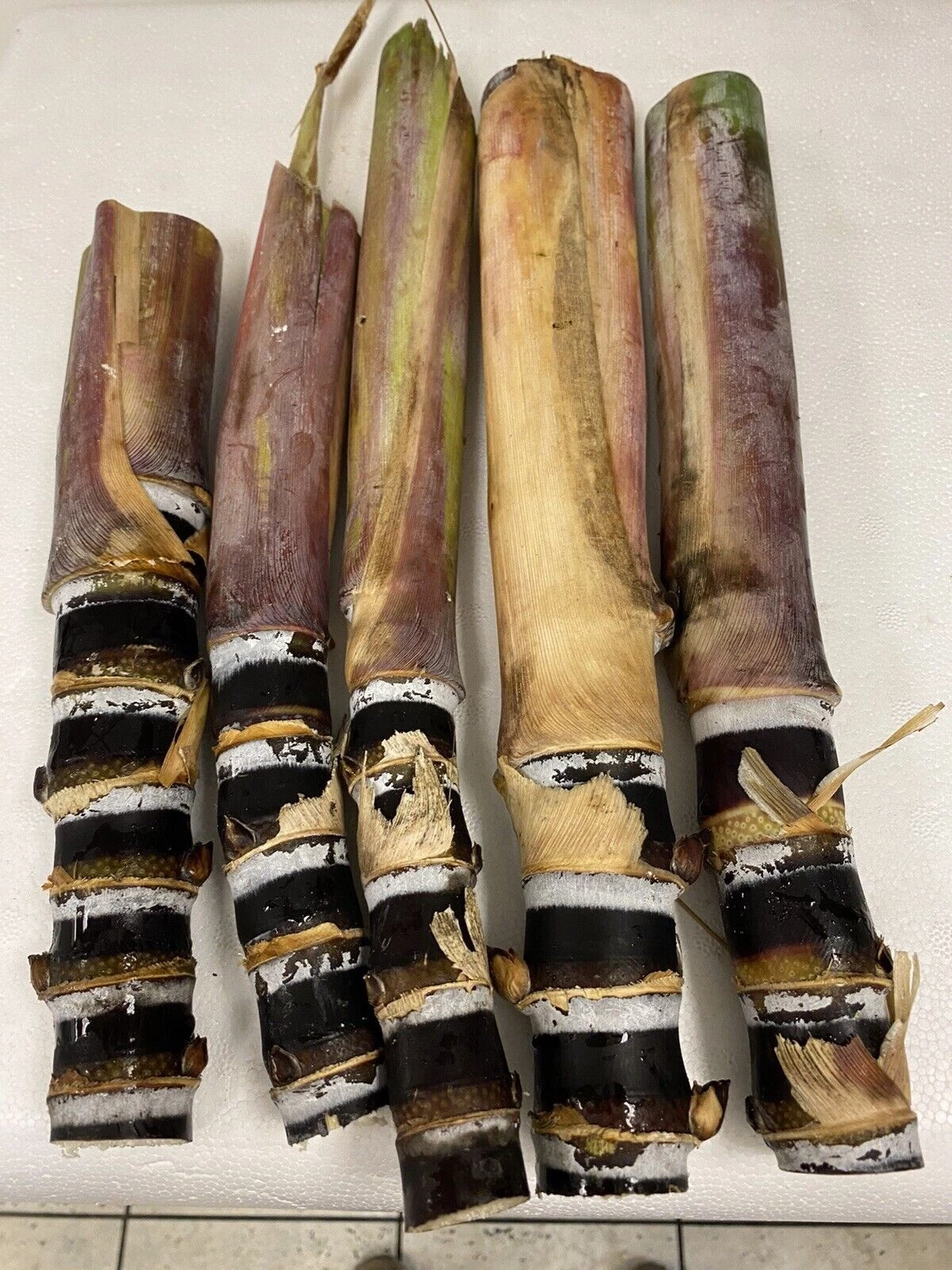 Black Soft Chew Sugar Cane Cuttings – Unrooted Live Saccharum officinarum for Planting, Propagation, Garden, Farm