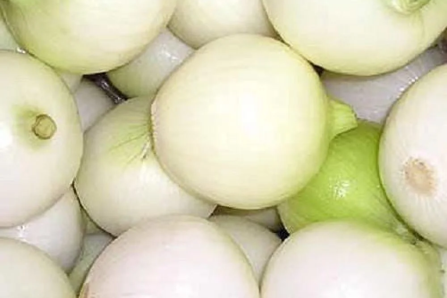 White Wax Onion Seeds | Non-GMO Heirloom Allium cepa Vegetable Seeds for Home Garden, Salad & Cooking