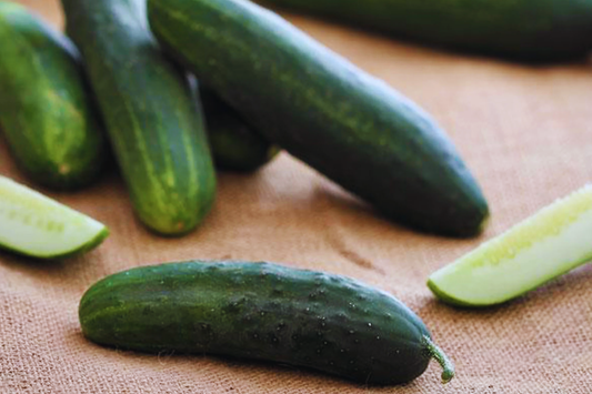 Marketmore 76 Cucumber Seeds - Non-GMO Heirloom, Cucumis sativus, 50+ Seeds for Home Garden, Salad & Pickling