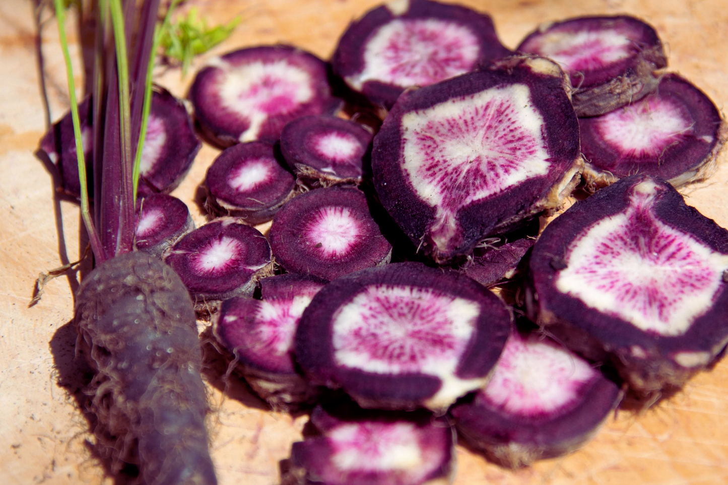 Black Nebula Carrot Seeds | Dark Purple Root Vegetable | Daucus carota | Organic Non-GMO Seed Pack of 100