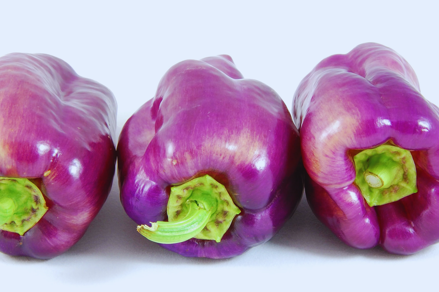 Rare Wild Permafrost Hot Purple Pepper Seeds | Capsicum annuum | Non-GMO, Compact Bushy Plant, Edible Purple Chili Seeds
