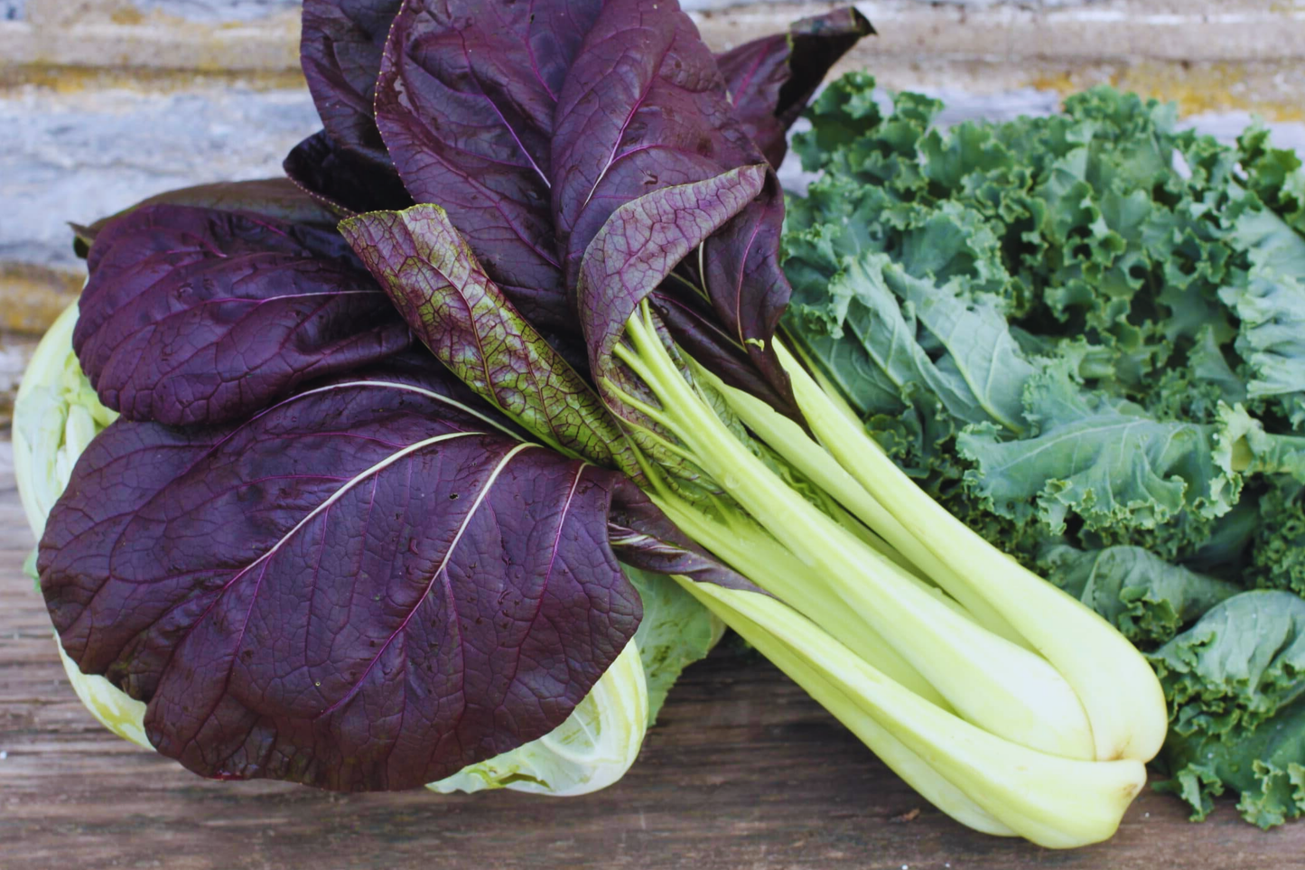 Purple Pak Choy Seeds | Non-GMO Brassica rapa var. chinensis | Edible Leafy Vegetable for Gardens & Containers