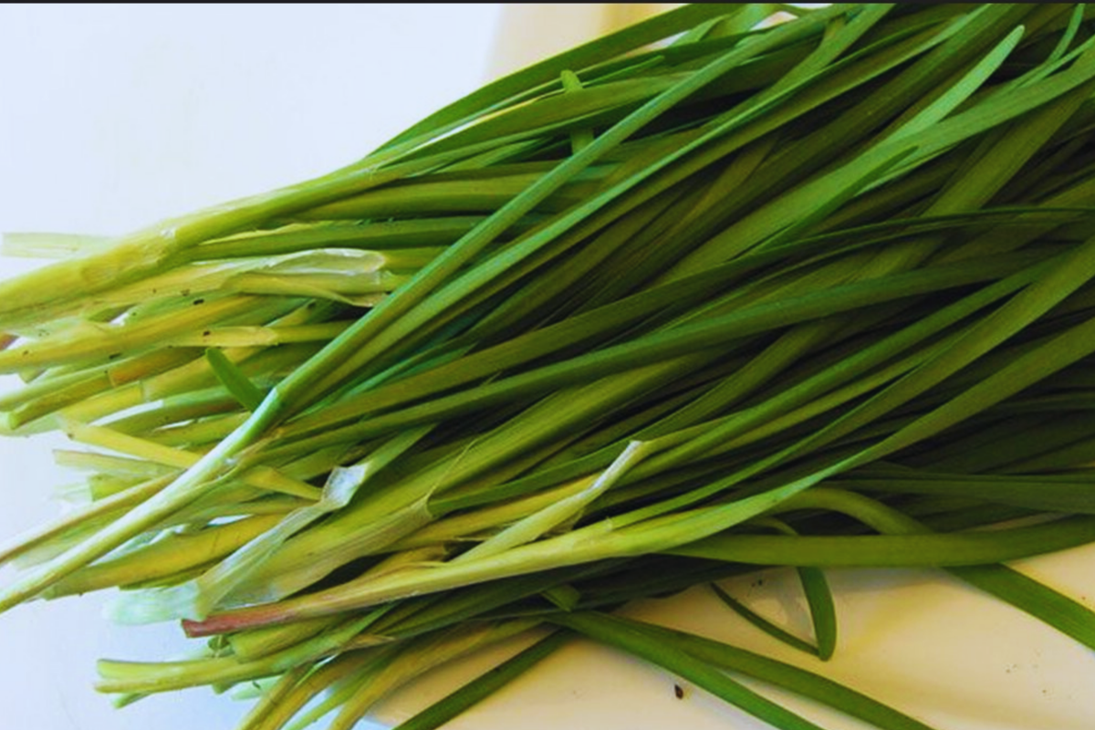 Chives Seeds Combo Pack | Garlic & Onion Varieties | Non-GMO Fresh Garden Seeds | Allium schoenoprasum | USA Grown