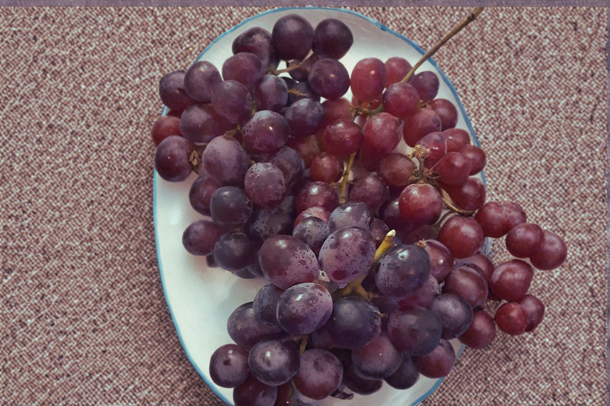 Reliance Seedless Grape Vine Live Plant 1 Gal – Sweet Seedless Grape Vine for Home Vineyard, Hardy Fruit Vine for Garden Trellis
