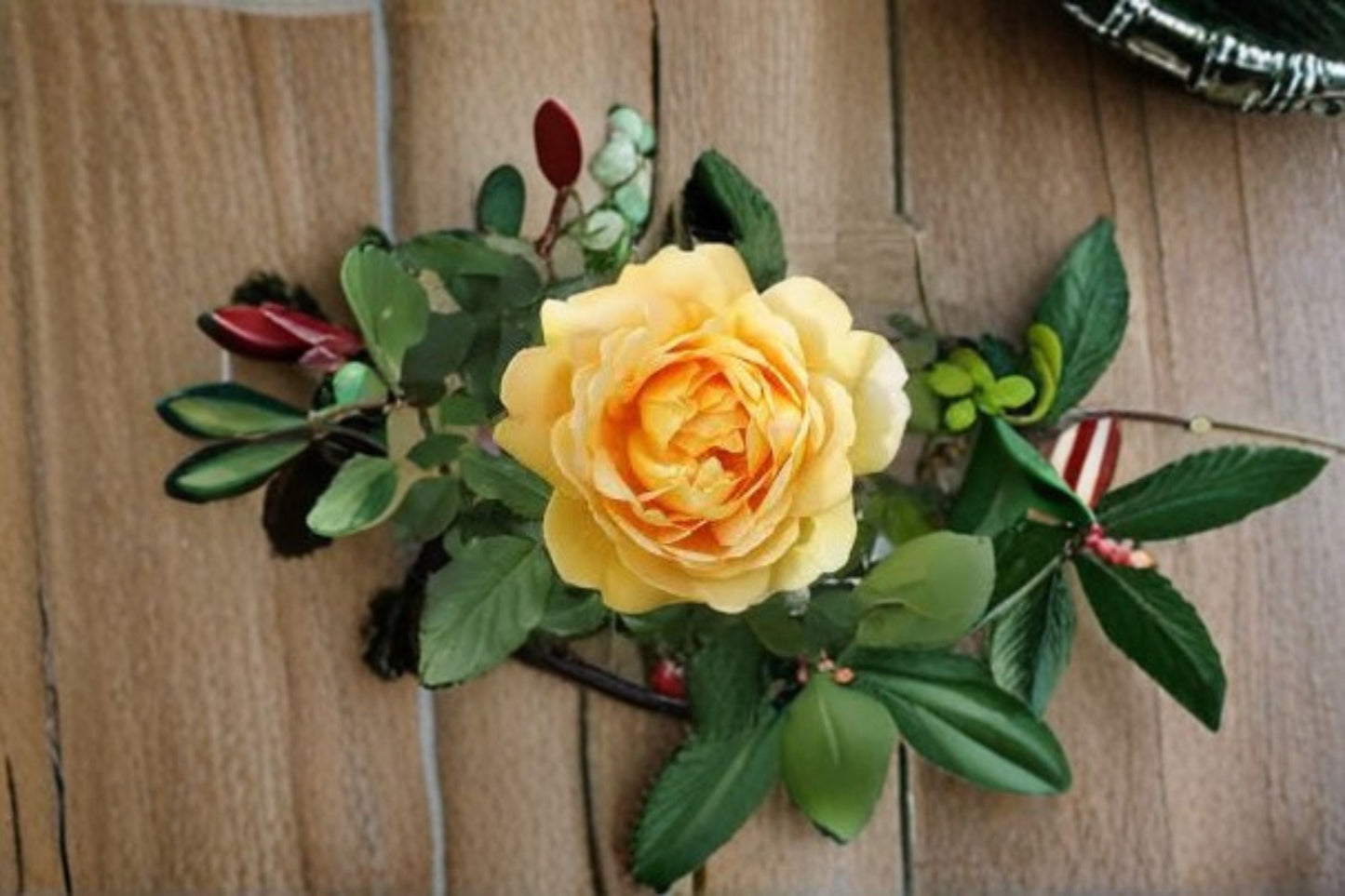 Ausgold Rose Live Plant – English Garden Rose – Vibrant Golden Blooms – Rosa ‘Ausgold’ – Own Root Rose for Garden Landscaping