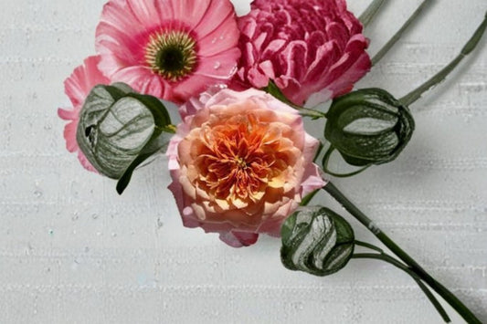 Miyabi Rose Live Plant – Japanese Repeat Blooming Cut Rose – Vibrant Fragrant Blossoms – Rosa Miyabi