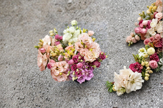 Lisianthus Voyage 1 Plant – Eustoma grandiflorum – Flowering Perennial for Garden & Floral Arrangements