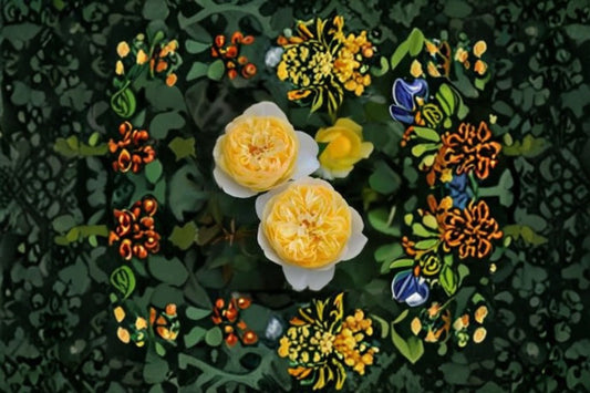 Ludior Rose Own Root Live Plant – Yellow Japanese Garden Rose – Hardy Garden Rose – Rosa spp.