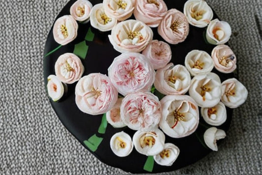 Mansfield Park Rose Live Plant – Lotus Pink Cut Flower – Own Root Pink Rose – Rosa 'Mansfield Park'