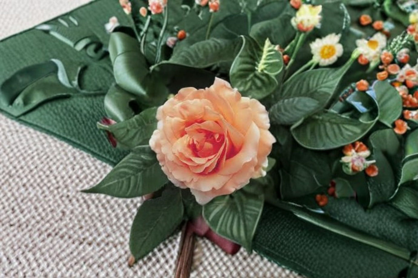 Polka Climbing Rose Live Plant 1.5 Gal Apricot Peach Rose Hardy Garden Flower Rosa 'Polka'