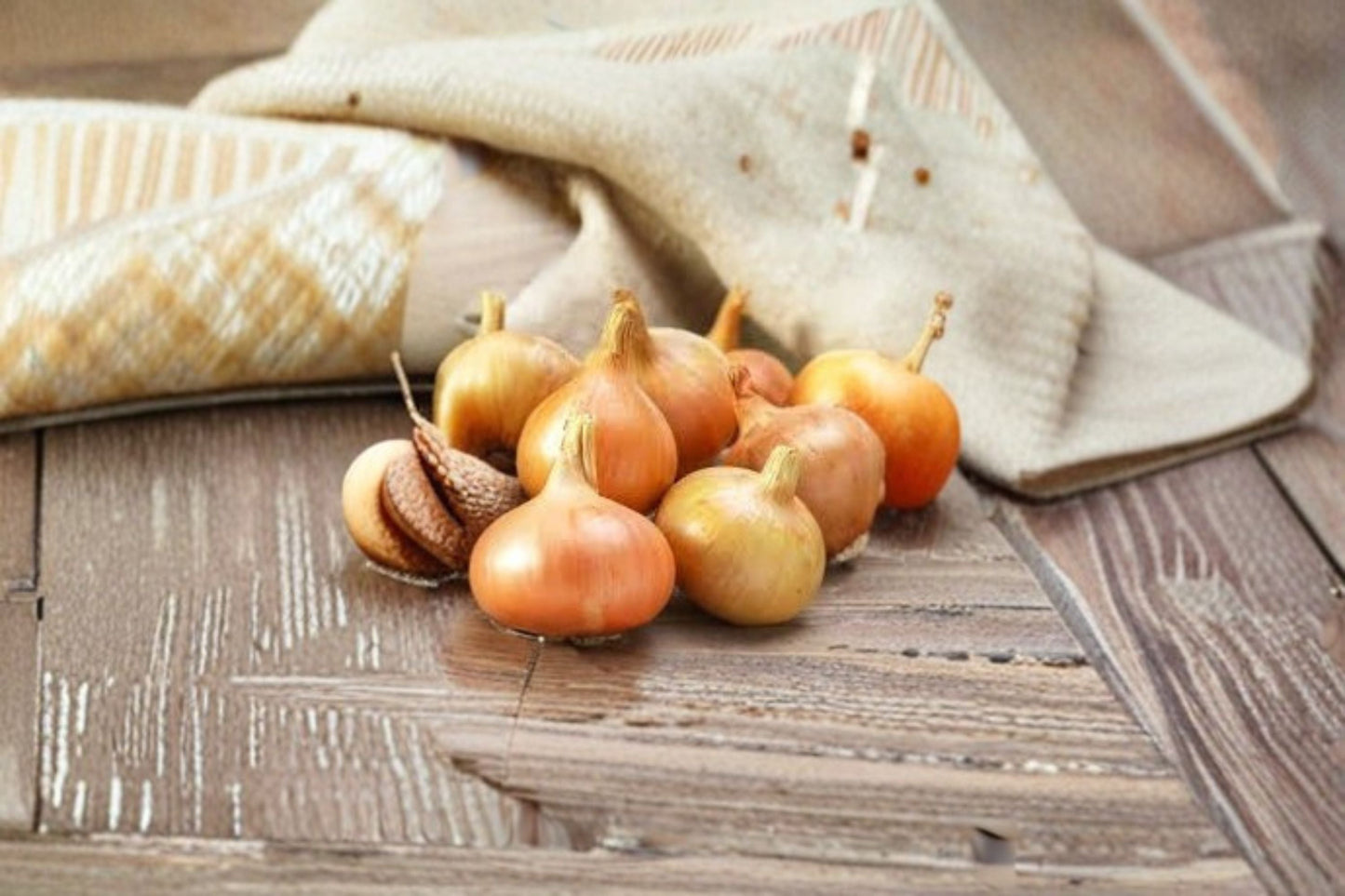Allium cepa Onion Sets – 1 Lb Bulbs Non-GMO, Stuttgarter Variety for Gardening and Culinary Use