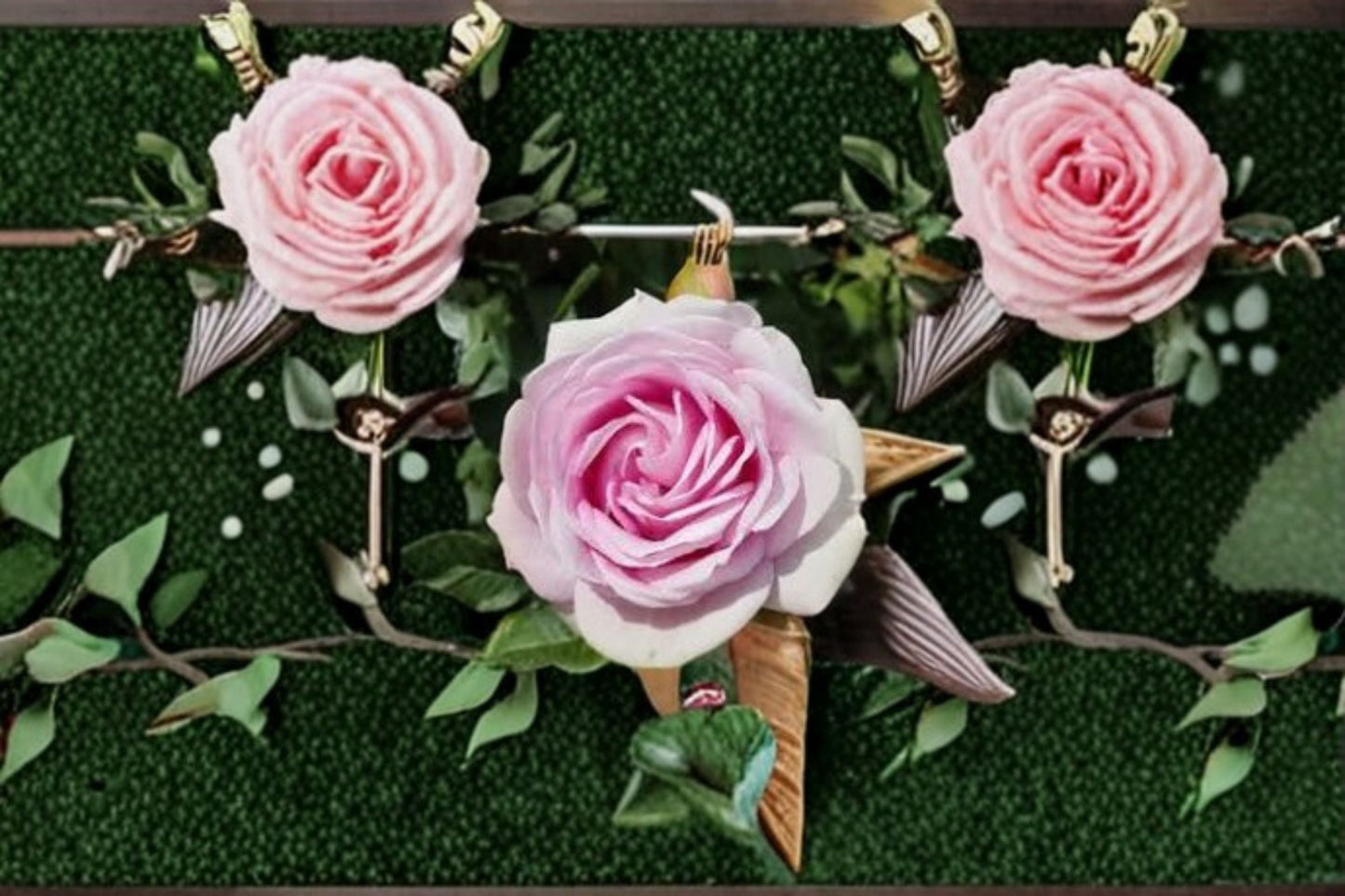 Queen Marie Rose Live Plant – Fragrant Pink Garden Rose – Rosa ‘Queen Marie’ – Easy Care Outdoor Flower